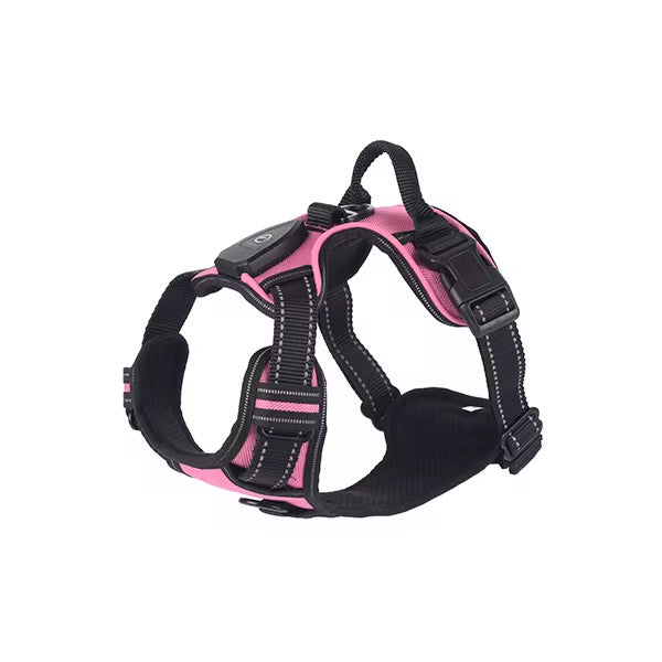 GlowGuard™ Light-Up Dog Harness – 500m Visibility