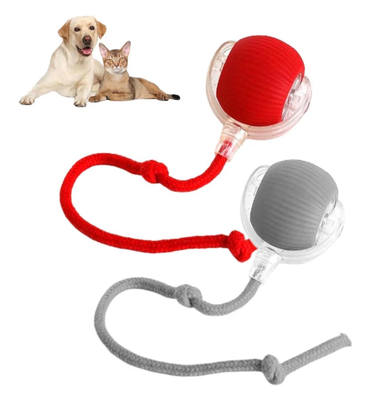 Interactive Cat Toy Ball
