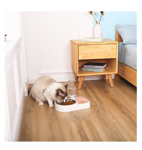 Automatic Pet Water & Food Bowl