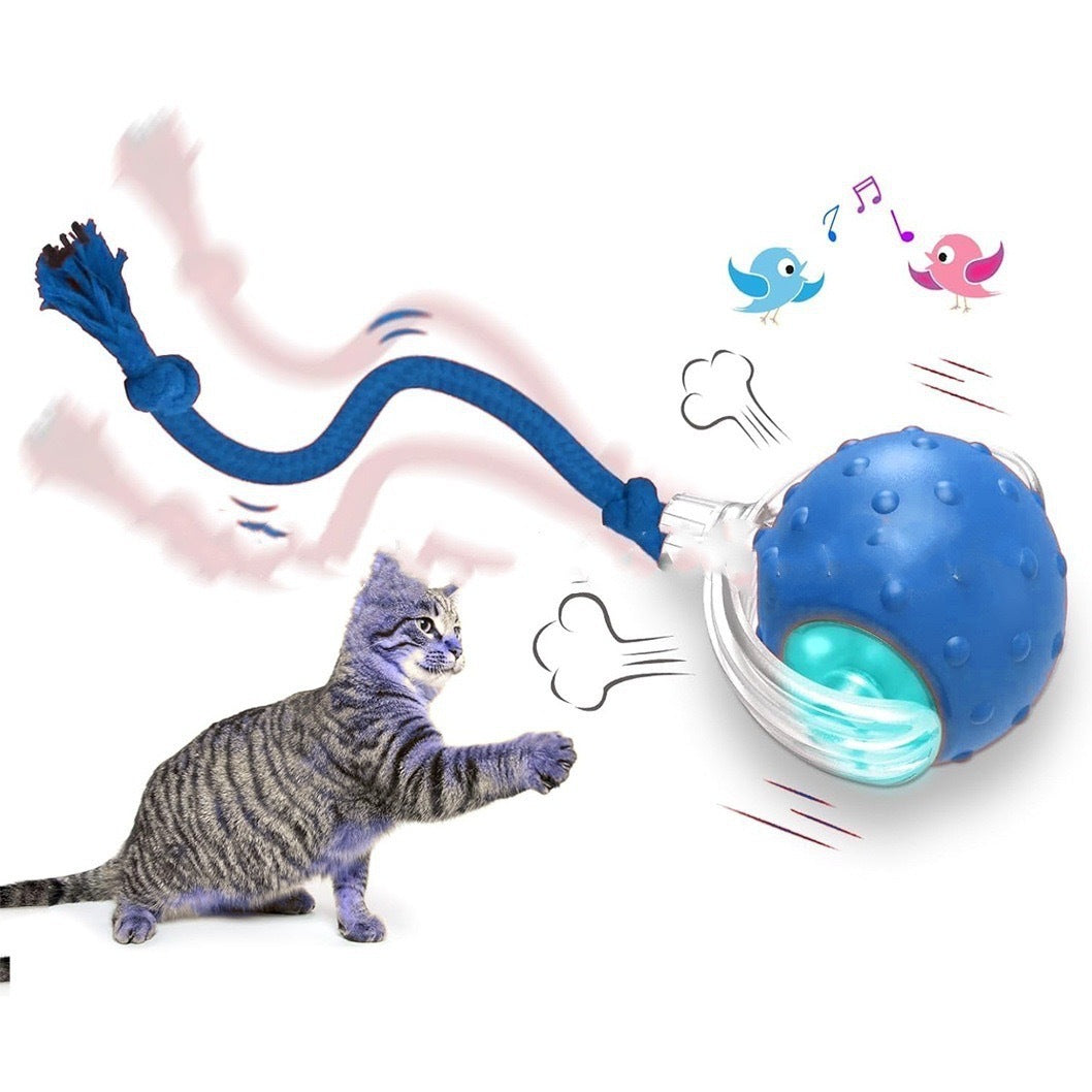 Automatic Rolling Cat Toy Ball
