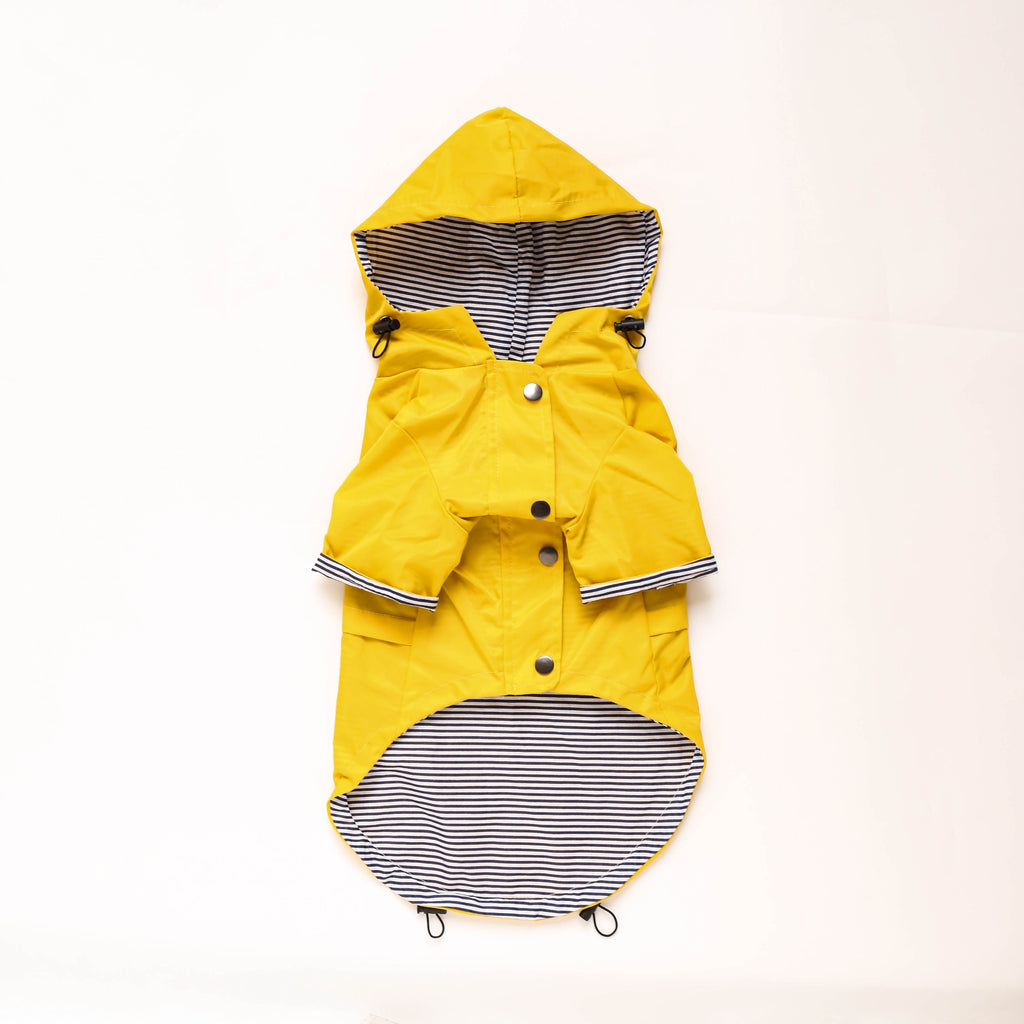 Lightweight Waterproof Dog Jacket