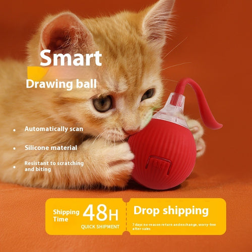 Automatic Rolling Cat Toy Ball