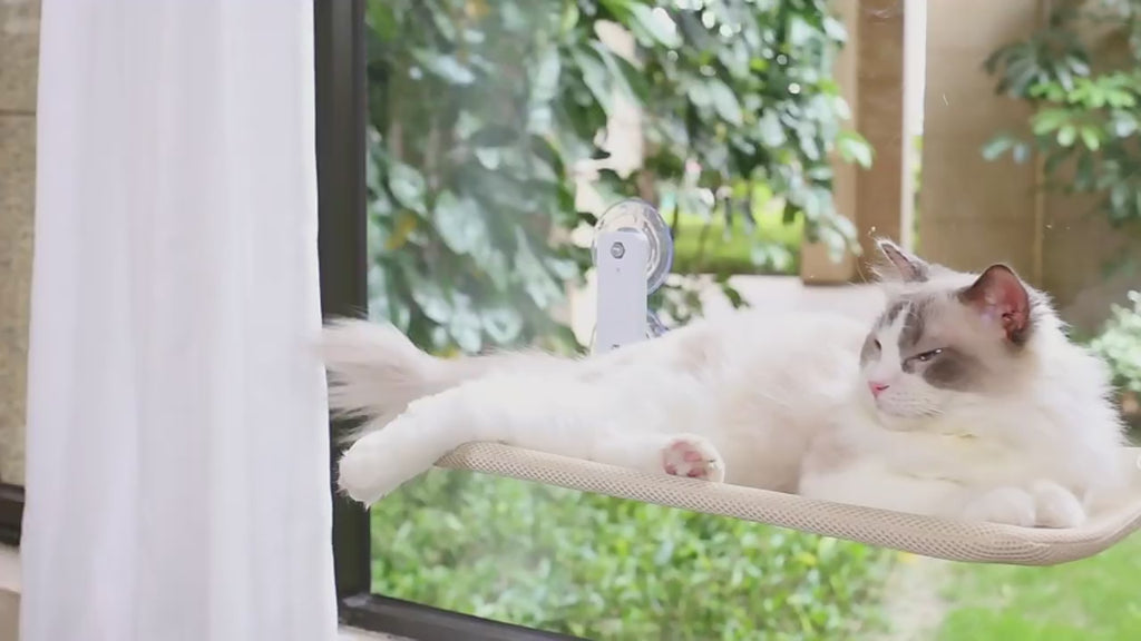 The Ultimate Cat Window Hammock