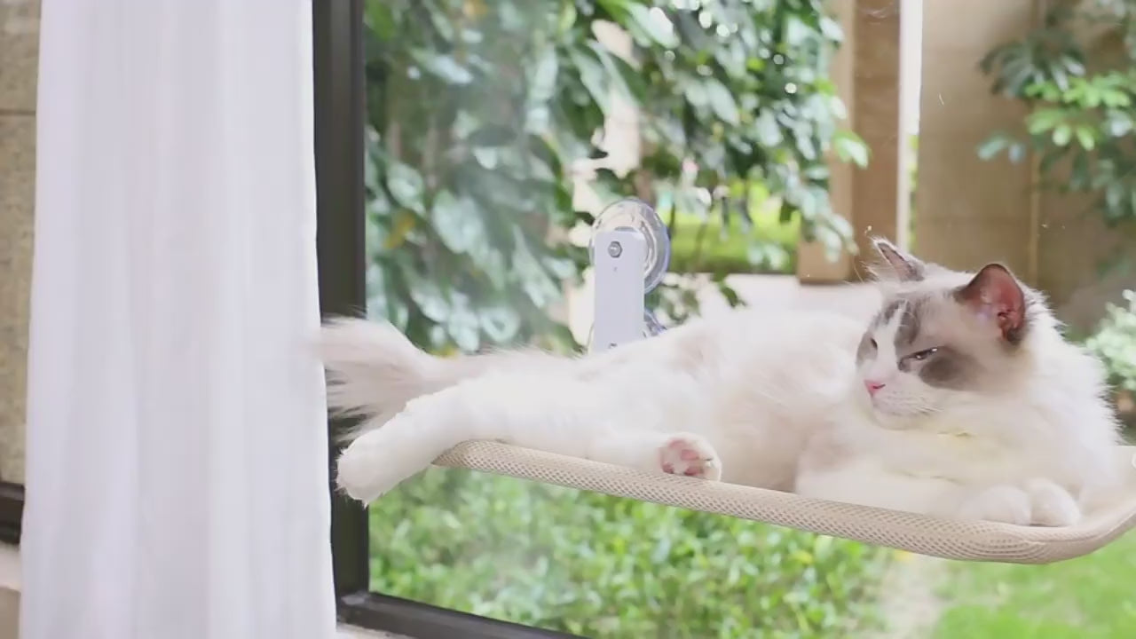 The Ultimate Cat Window Hammock