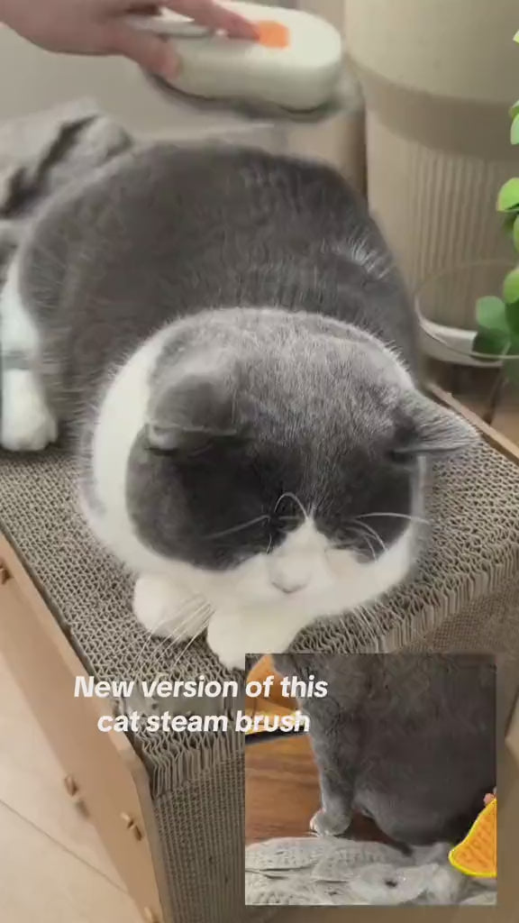 Steam Brush Pet - 3 In1 Spray
Electric Brush